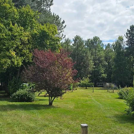 Le Haras De Gus Et Lulu